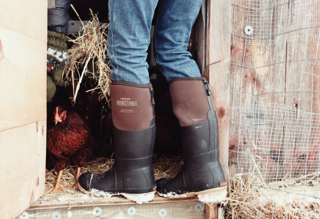 Woman in chicken coop wearing Dryshod Barnstable women's boots